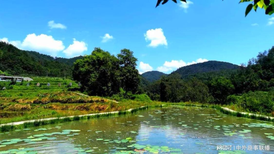 快手24小时自助涨业务